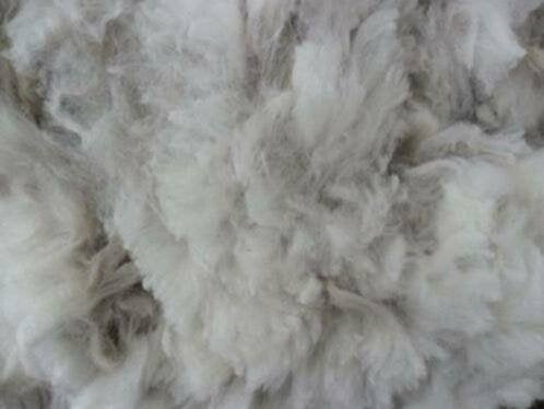 Zachte alpaca wol alpacavachten schering '26 ze zijn er nog, Ophalen of Verzenden, Nieuw, Spinwol