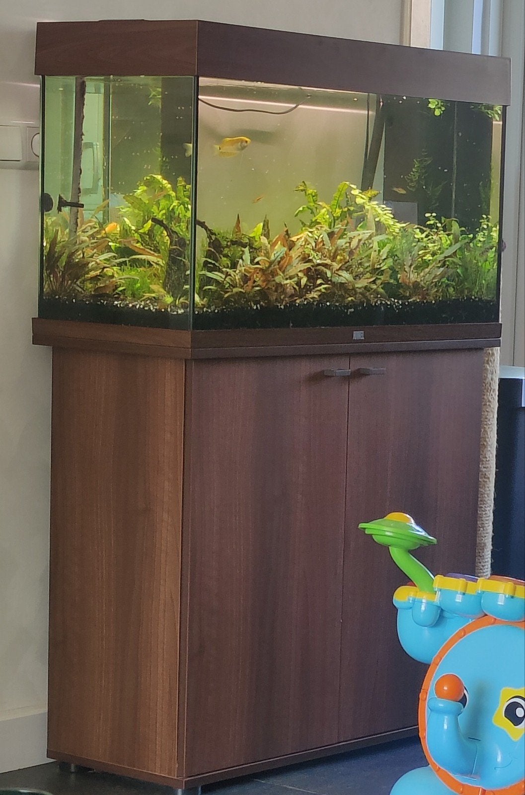 Aquarium 120L Juwel, Ophalen, Gebruikt, Inclusief deksel, Leeg aquarium