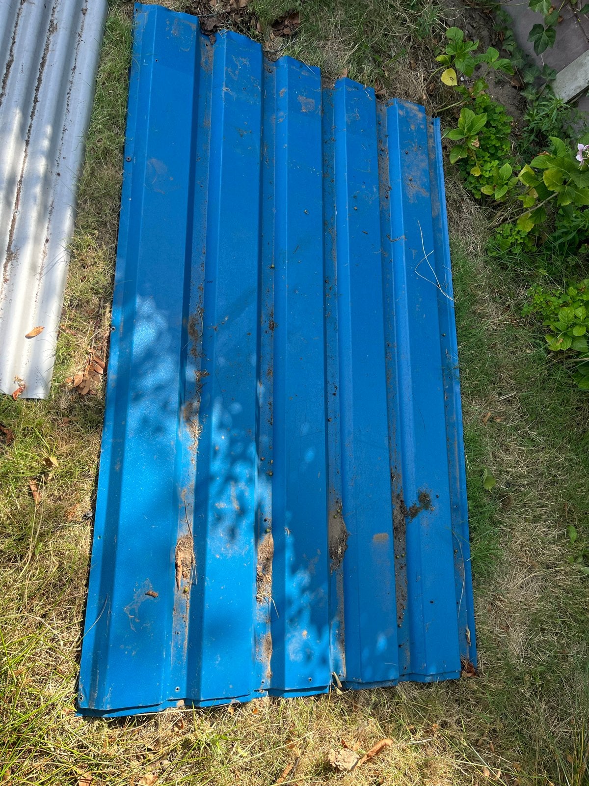 4 x Damwand 160x110 - Blauw Golfplaat, Gebruikt, Blauw, Ophalen of Verzenden, Minder dan 5 m²