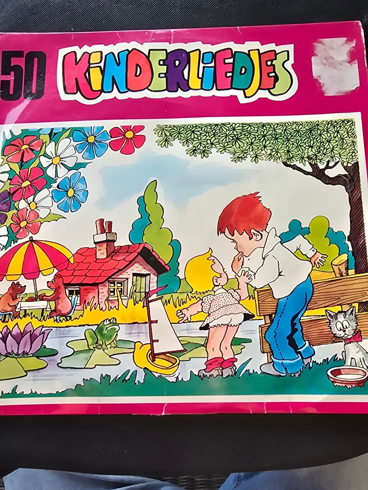 50 Kinderliedjes LP Vinyl - De Madeliefjes, LP, Gebruikt, Ophalen of Verzenden, 12 inch