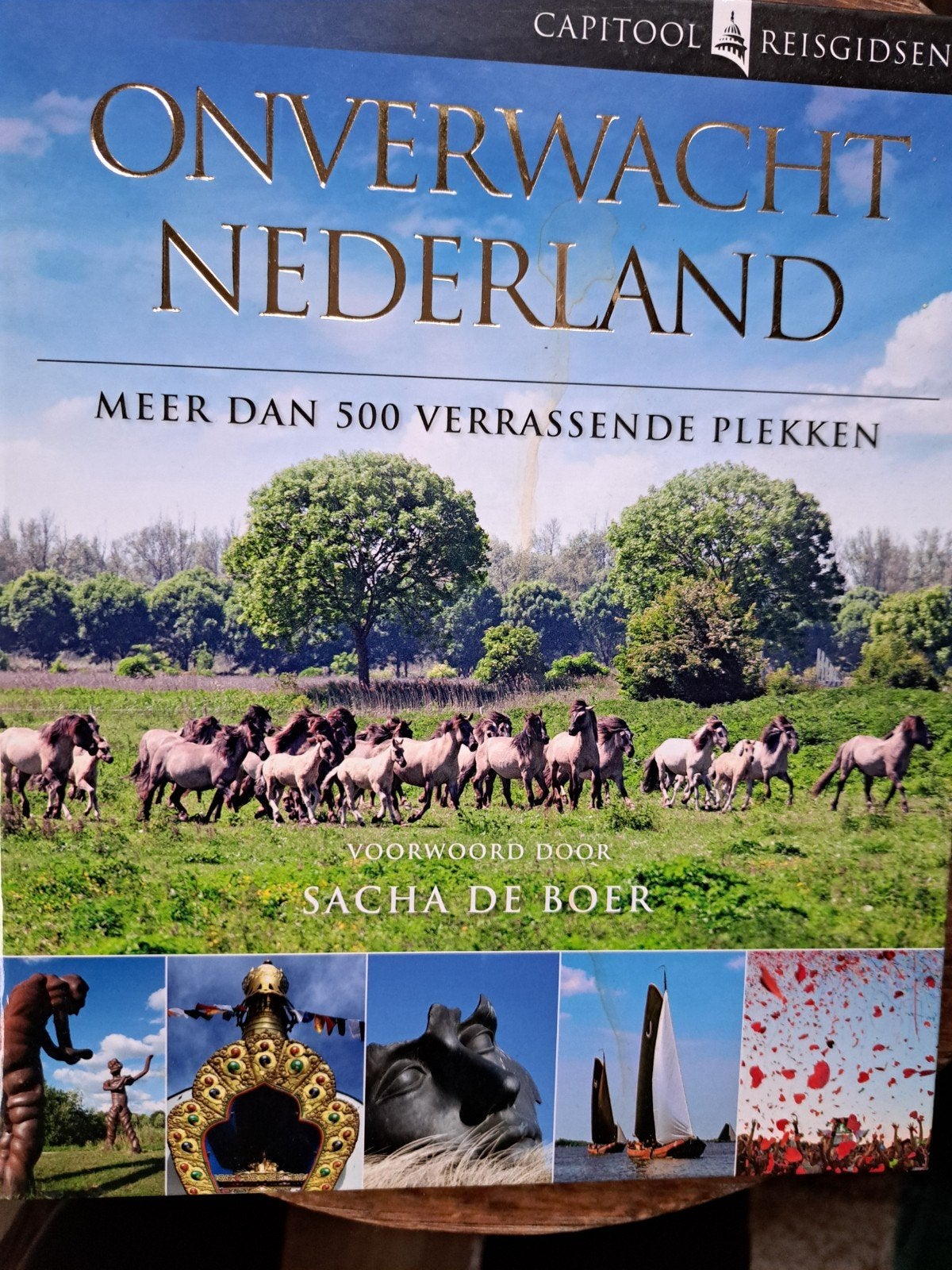 Onverwacht Nederland - Capitool Reisgidsen, Capitool, Ophalen of Verzenden, Zo goed als nieuw, Reisgids of -boek