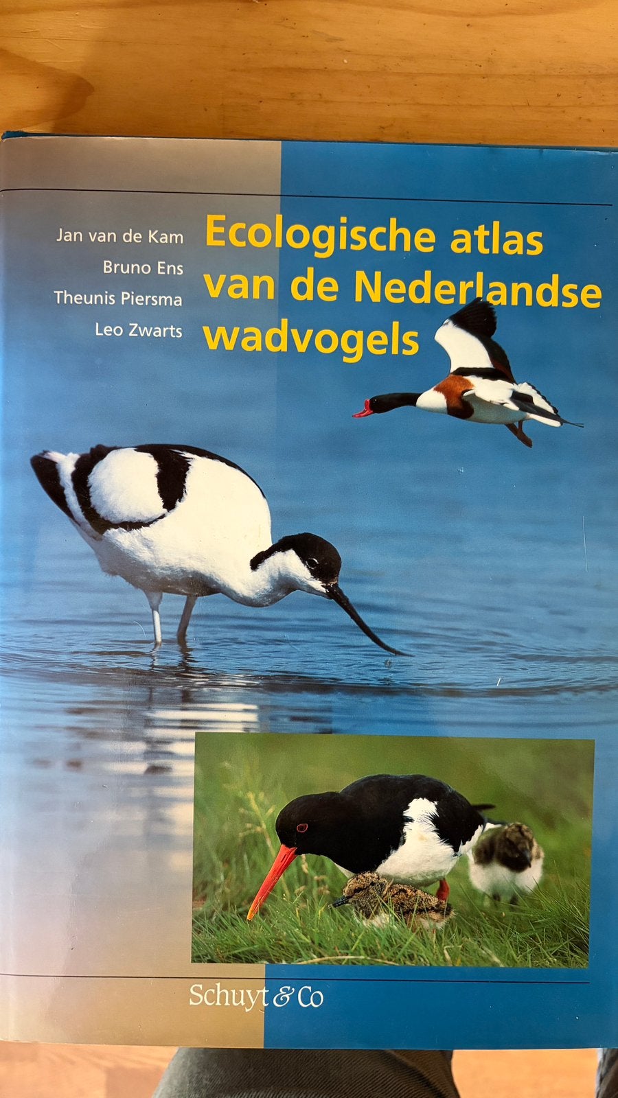 Ecologische atlas van de Nederlandse wadvogels, Ophalen of Verzenden, Zo goed als nieuw, Vogels