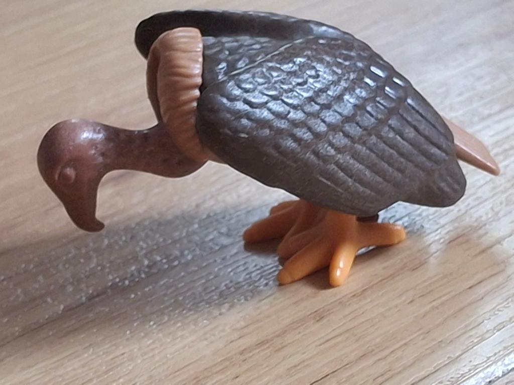 Playmobil gier, Ophalen of Verzenden