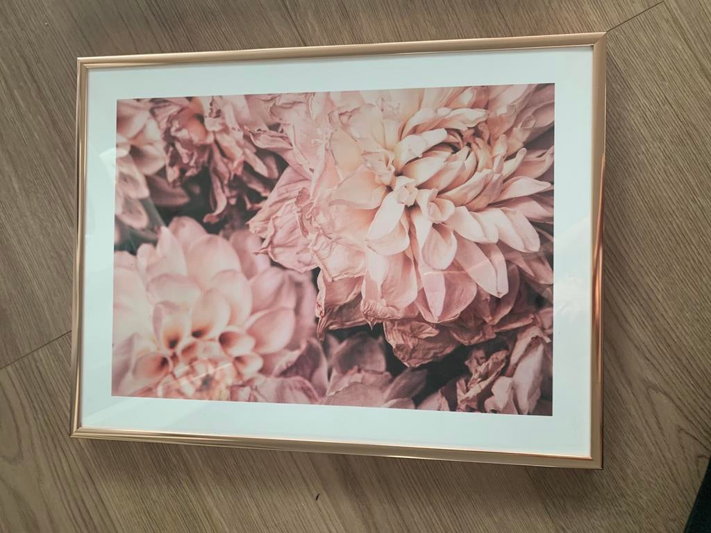 Rose gouden lijst met poster roze bloemen, Huis en Inrichting, Ophalen, Zo goed als nieuw, Overige materialen, Minder dan 50 cm