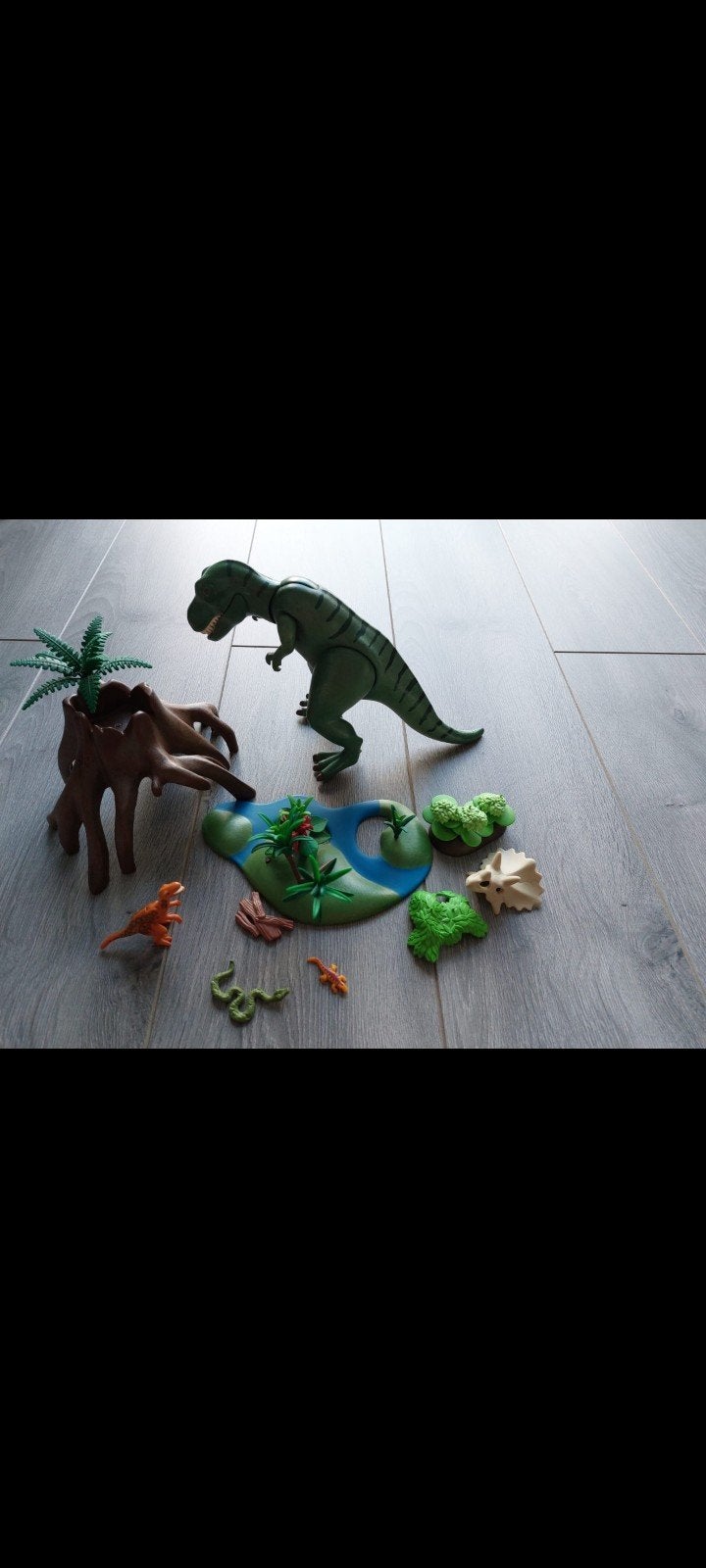 Playmobil  dinosaurus, Ophalen of Verzenden, Zo goed als nieuw