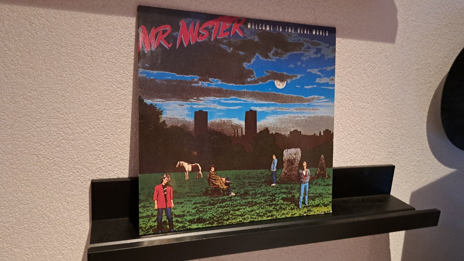 mr Mister, Ophalen of Verzenden