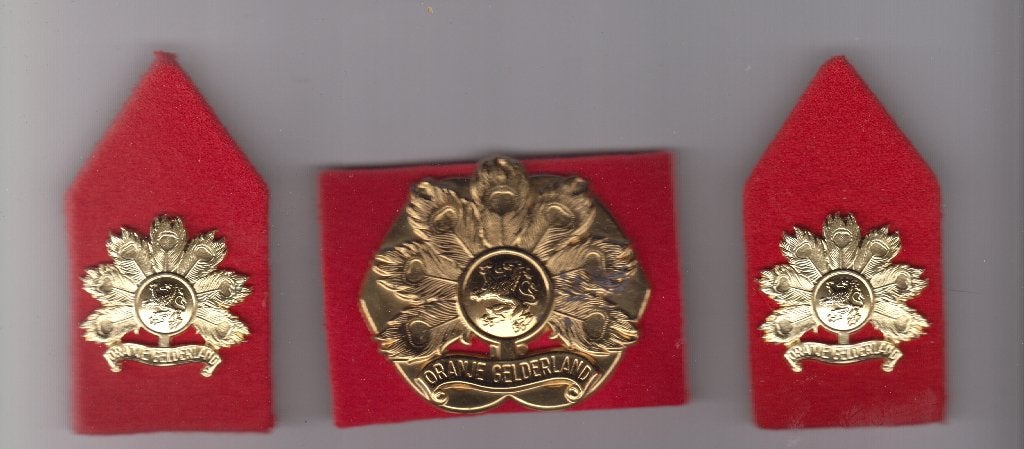 baretembleem en set kraagpatten Oranje gelderland, Verzamelen, Ophalen of Verzenden, Landmacht, Nederland, Embleem of Badge