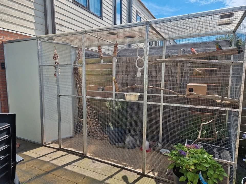 Pyrrhura paleis opvang (vogel opvang) weer plek!
