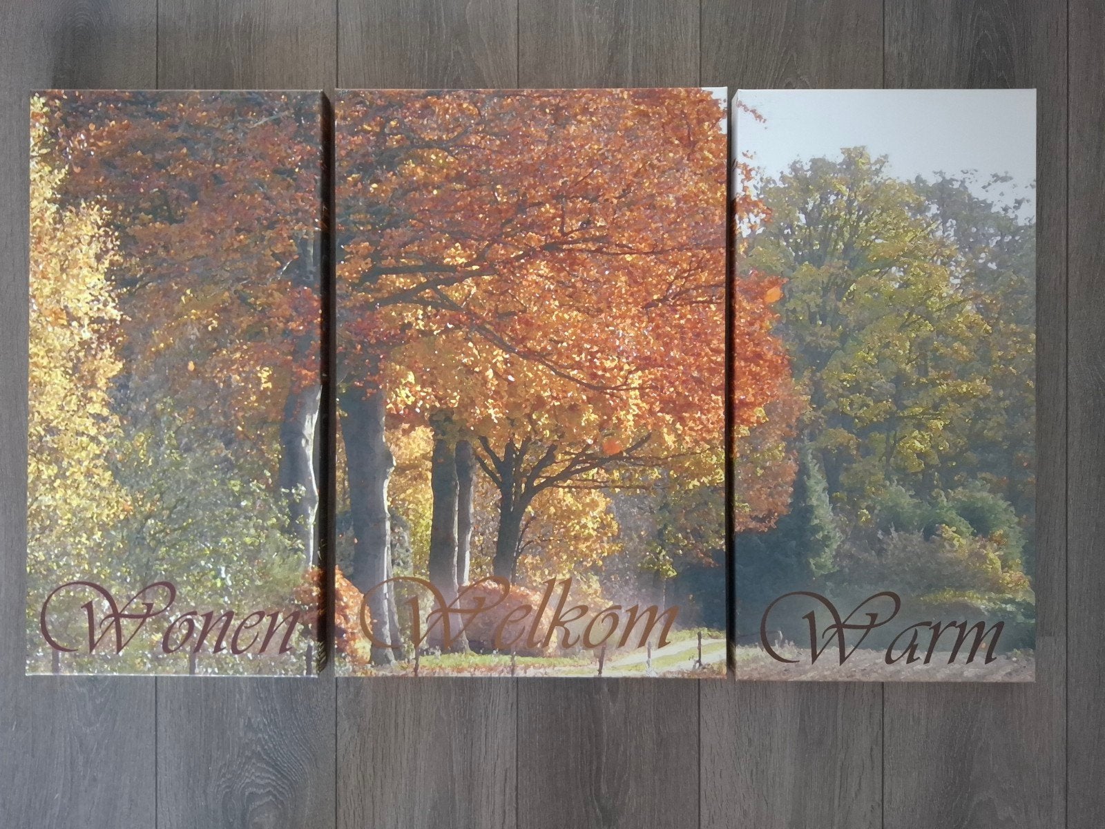 Drieluik canvas, Ophalen