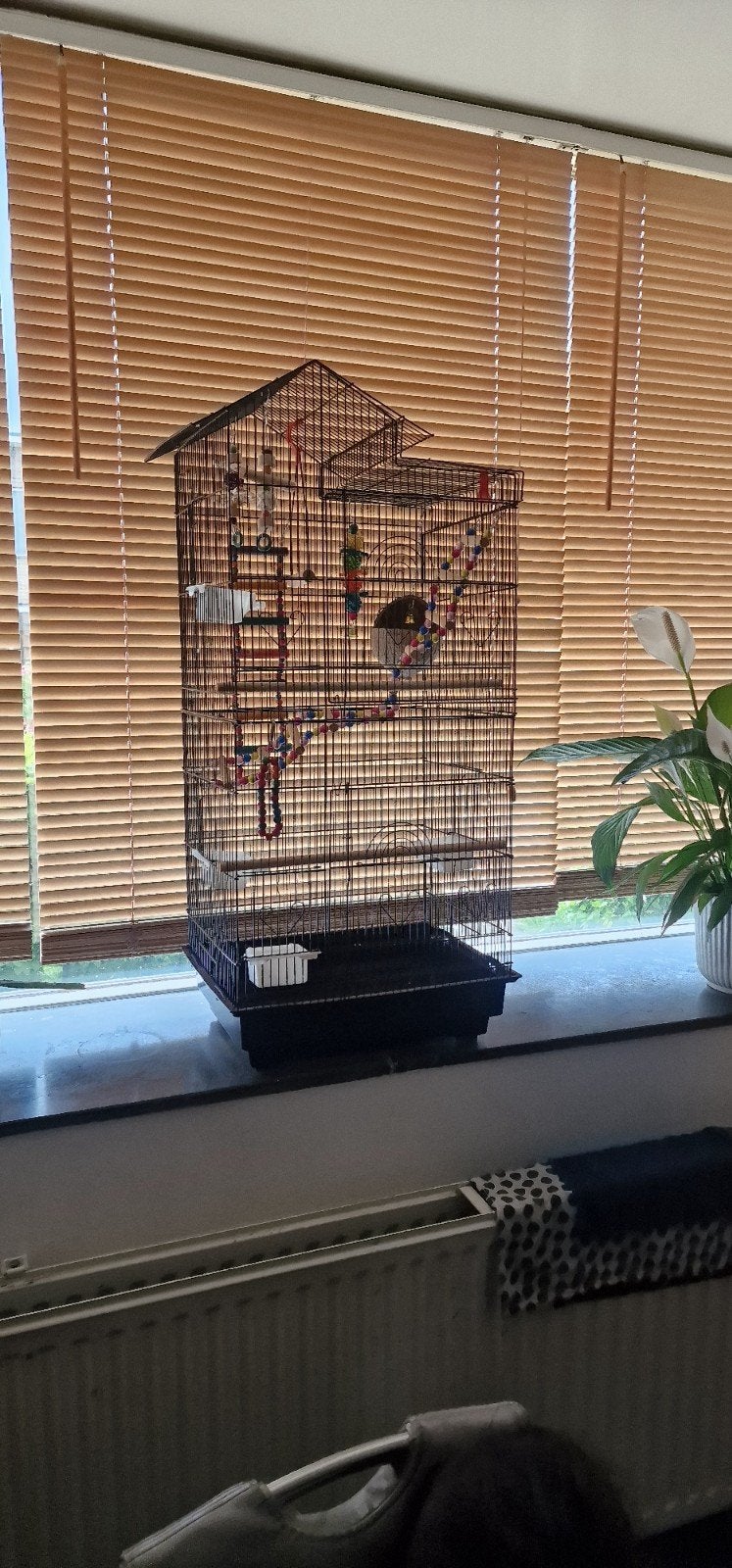 Birdcage, Dieren en Toebehoren, Ophalen, Hout, Vogelkooi