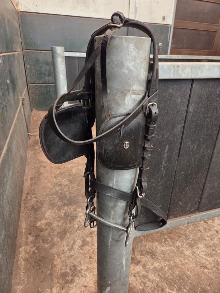 Mentuig paard, Dieren en Toebehoren, Ophalen of Verzenden, Gebruikt, Overige soorten