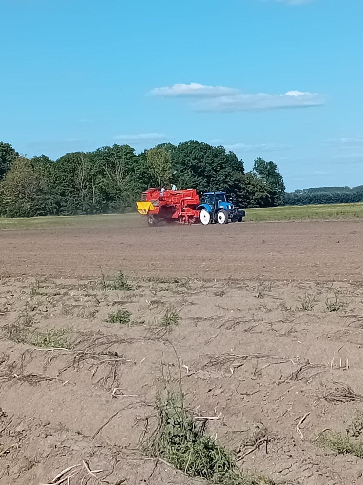Grimme DR 1500 aardappelrooier met axiaalbak en 3 rollensets, Ophalen, Akkerbouw, Aardappeltechniek