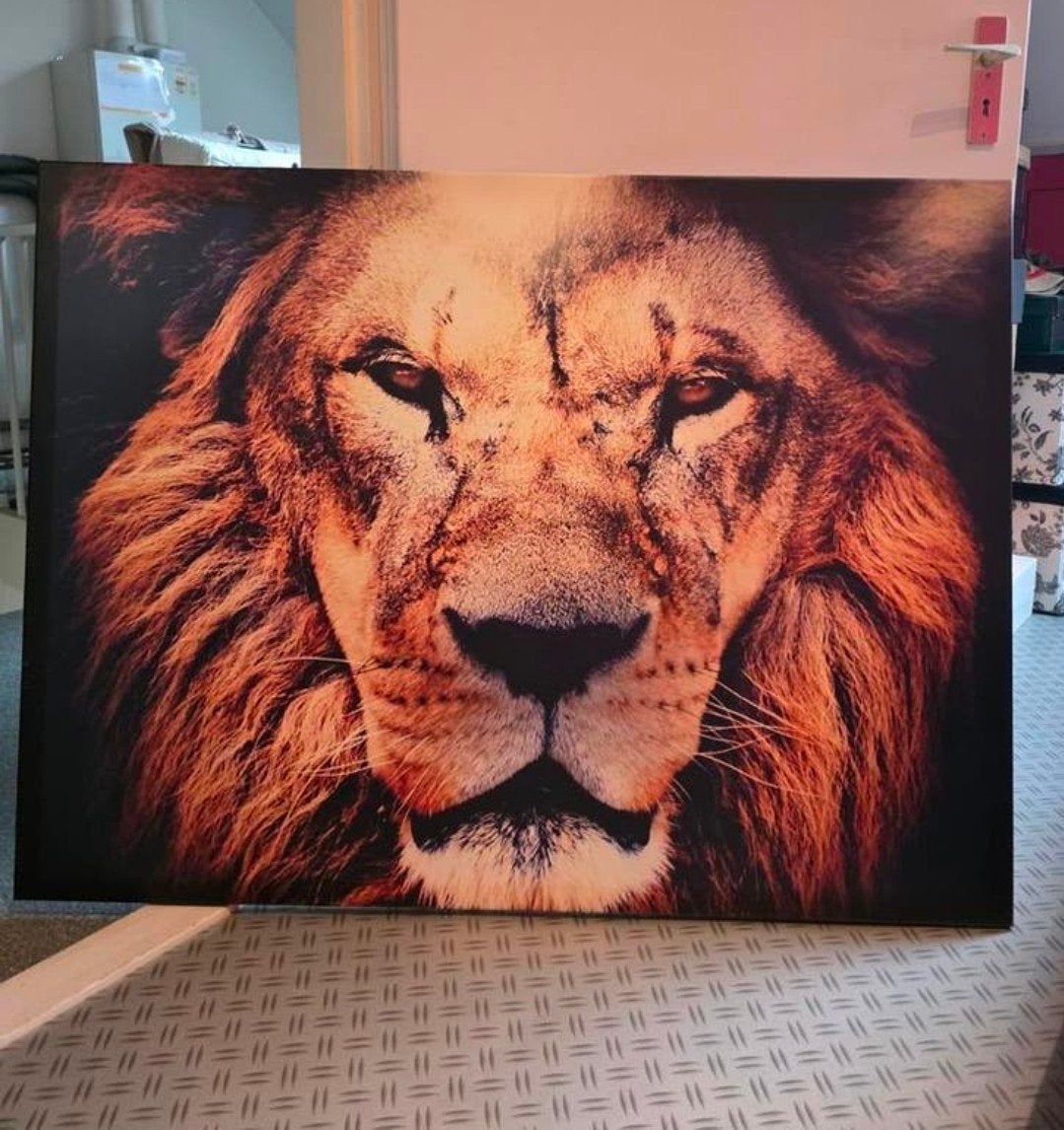 Canvas Doek met Leeuwenkop, Ophalen, Zo goed als nieuw, 125 cm of meer, Print