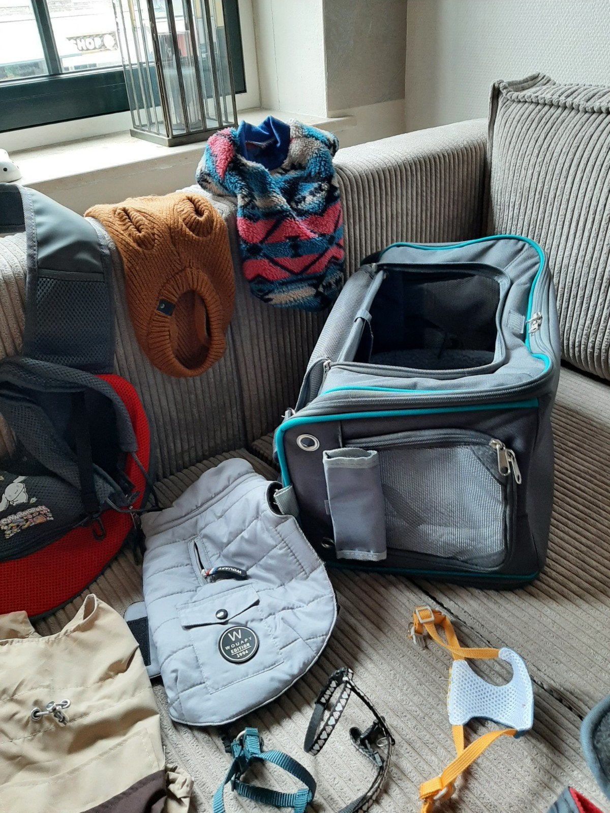 14 benodigheden voor kleine hond, Dieren en Toebehoren, Honden-accessoires, Ophalen
