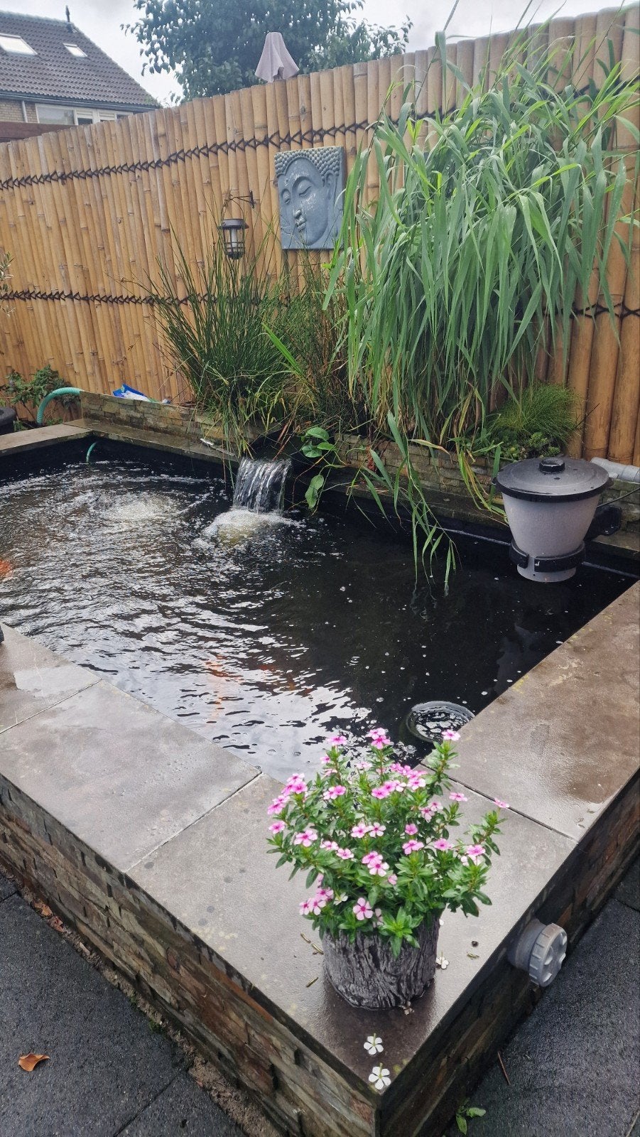 Prachtige vijver met waterval, pomp en filter, Ophalen, Gebruikt