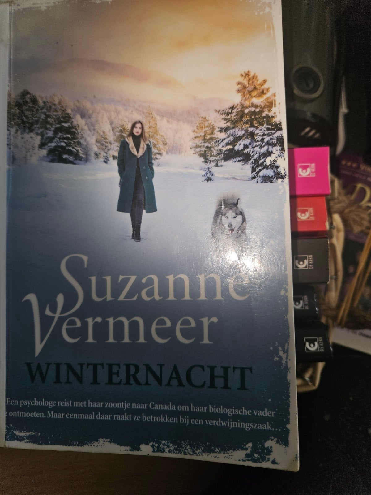 Suzanne Vermeer - Winternacht (Thriller), Ophalen, Gelezen, Suzanne Vermeer, Nederland