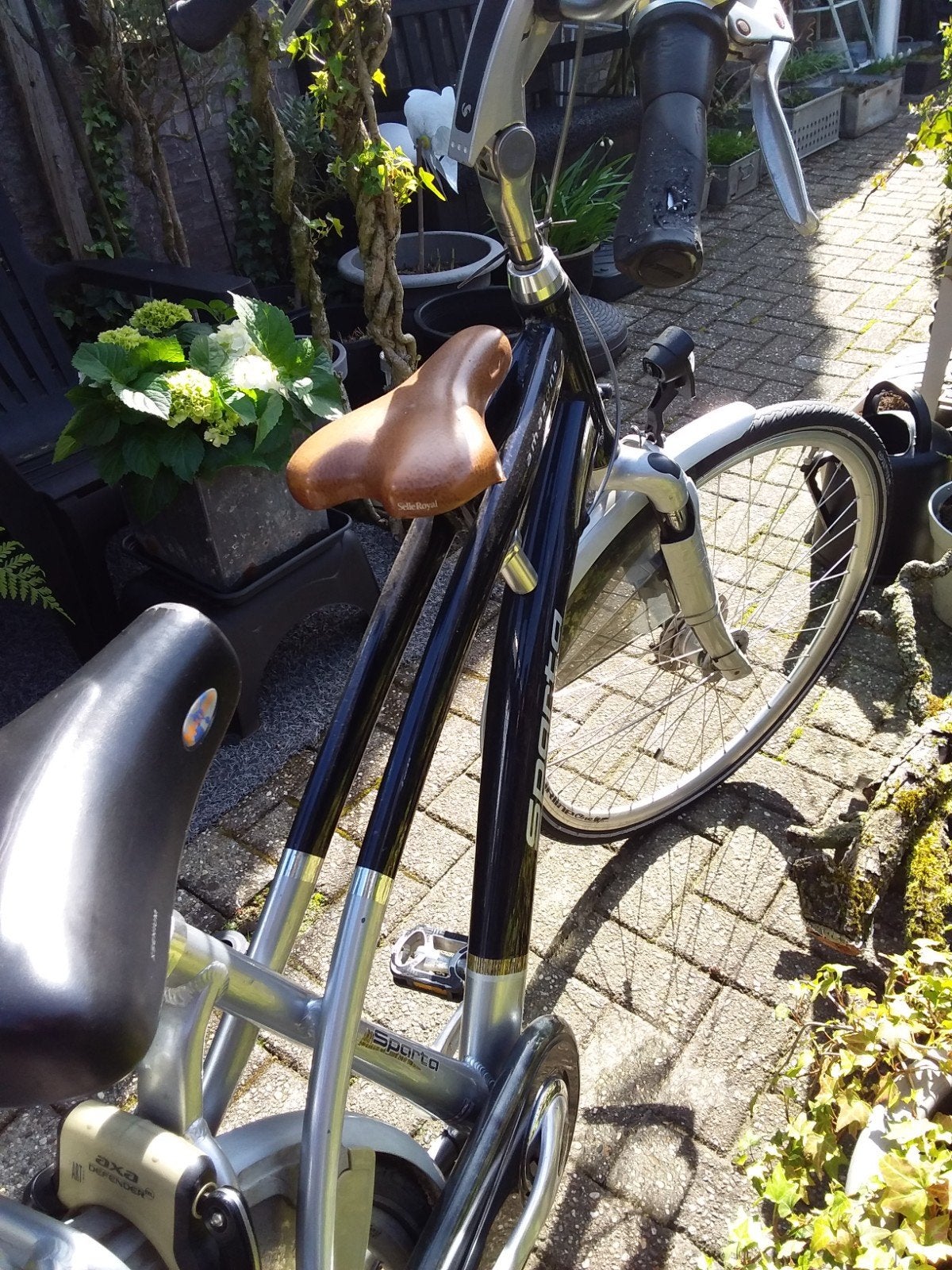 Sparta pappa/opafiets., Ophalen, Gebruikt, Sparta