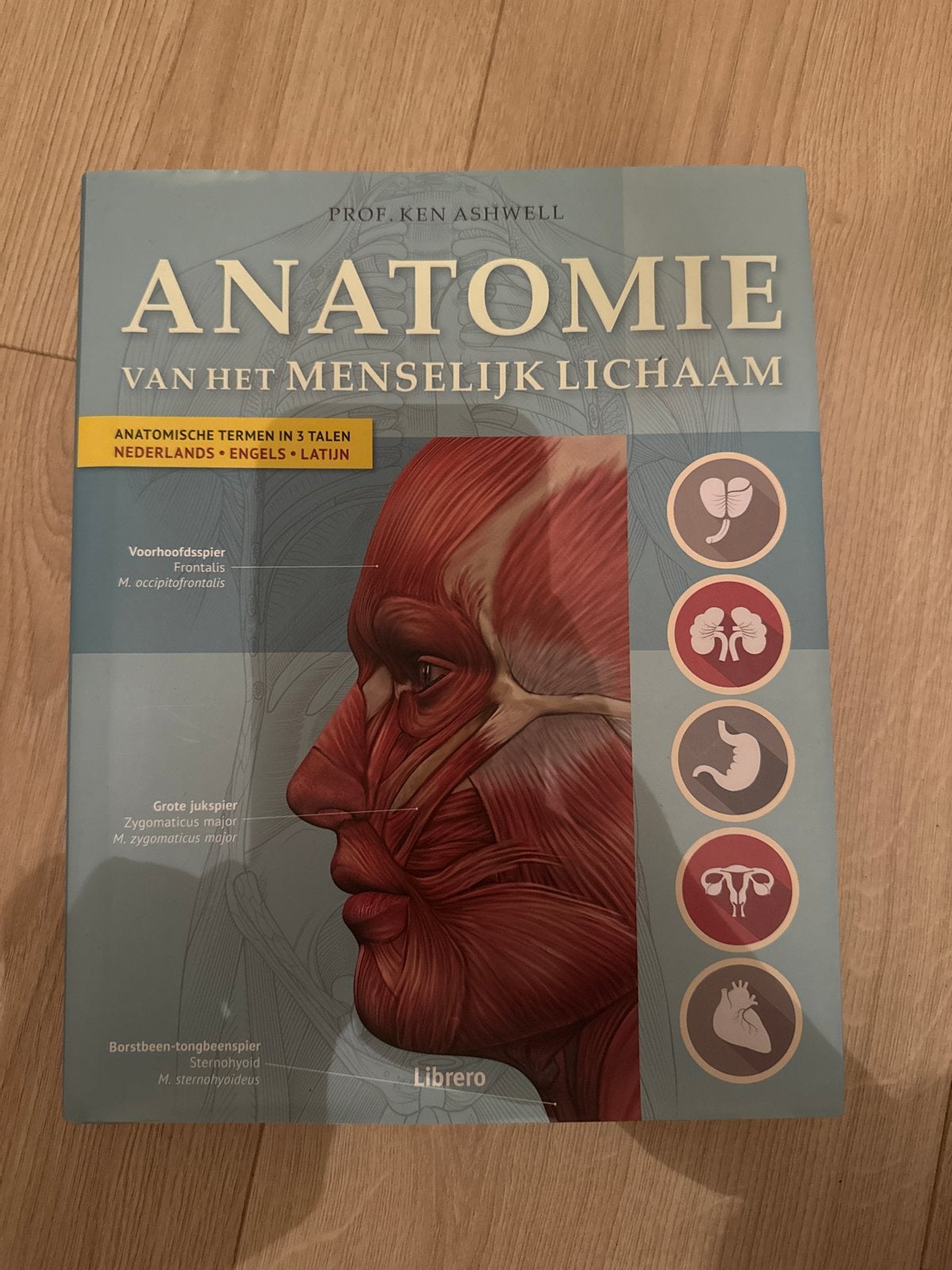 Anatomie van het Menselijk Lichaam - Prof. Ken Ashwell, Ophalen of Verzenden, Beta, Zo goed als nieuw, HBO