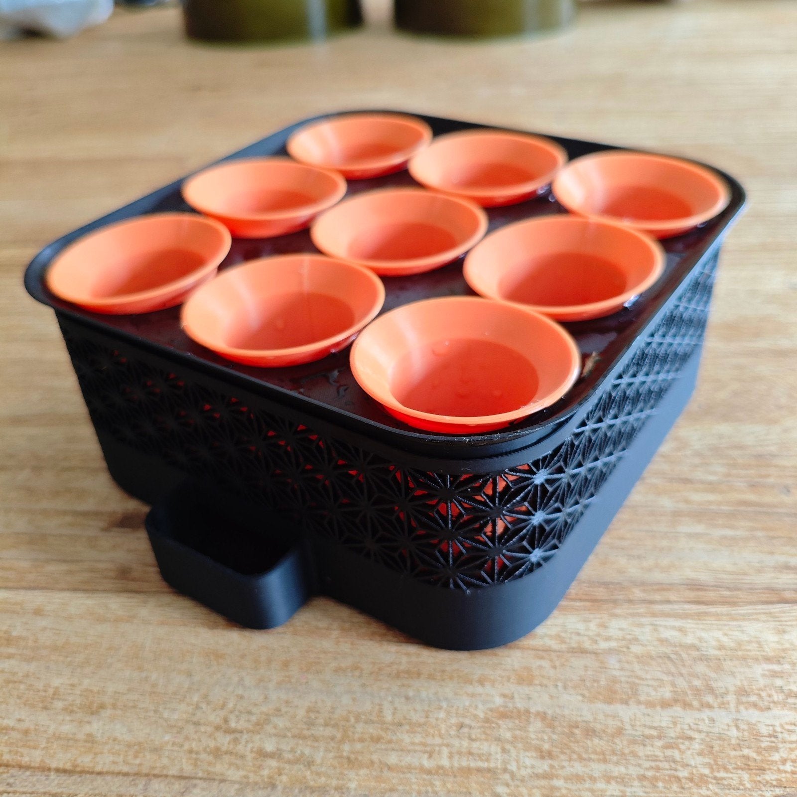 3D geprinte stekjes bewatering bak voor plantjes en zaadjes, Ophalen of Verzenden, Nieuw, Kweekbak