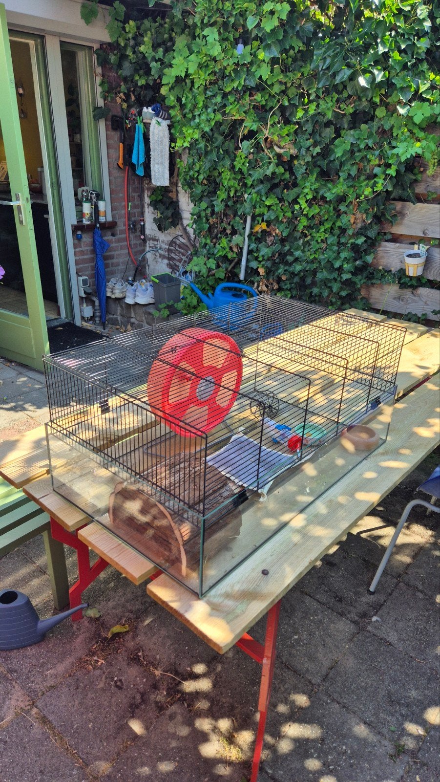 Hamster kooi plus toebehoren, Kooi, Hamster, 75 tot 110 cm, Ophalen