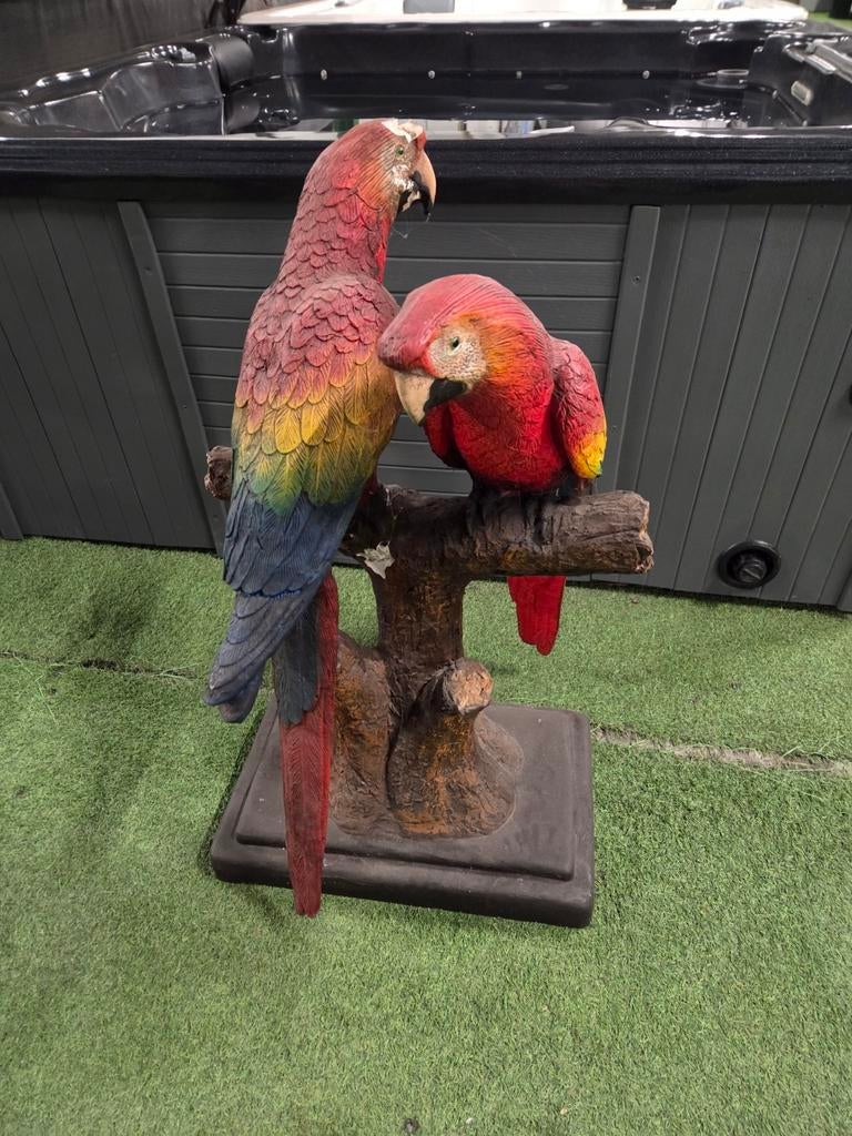 Papegaai beeld beetje schade, Dieren en Toebehoren, Mannelijk, Papegaai