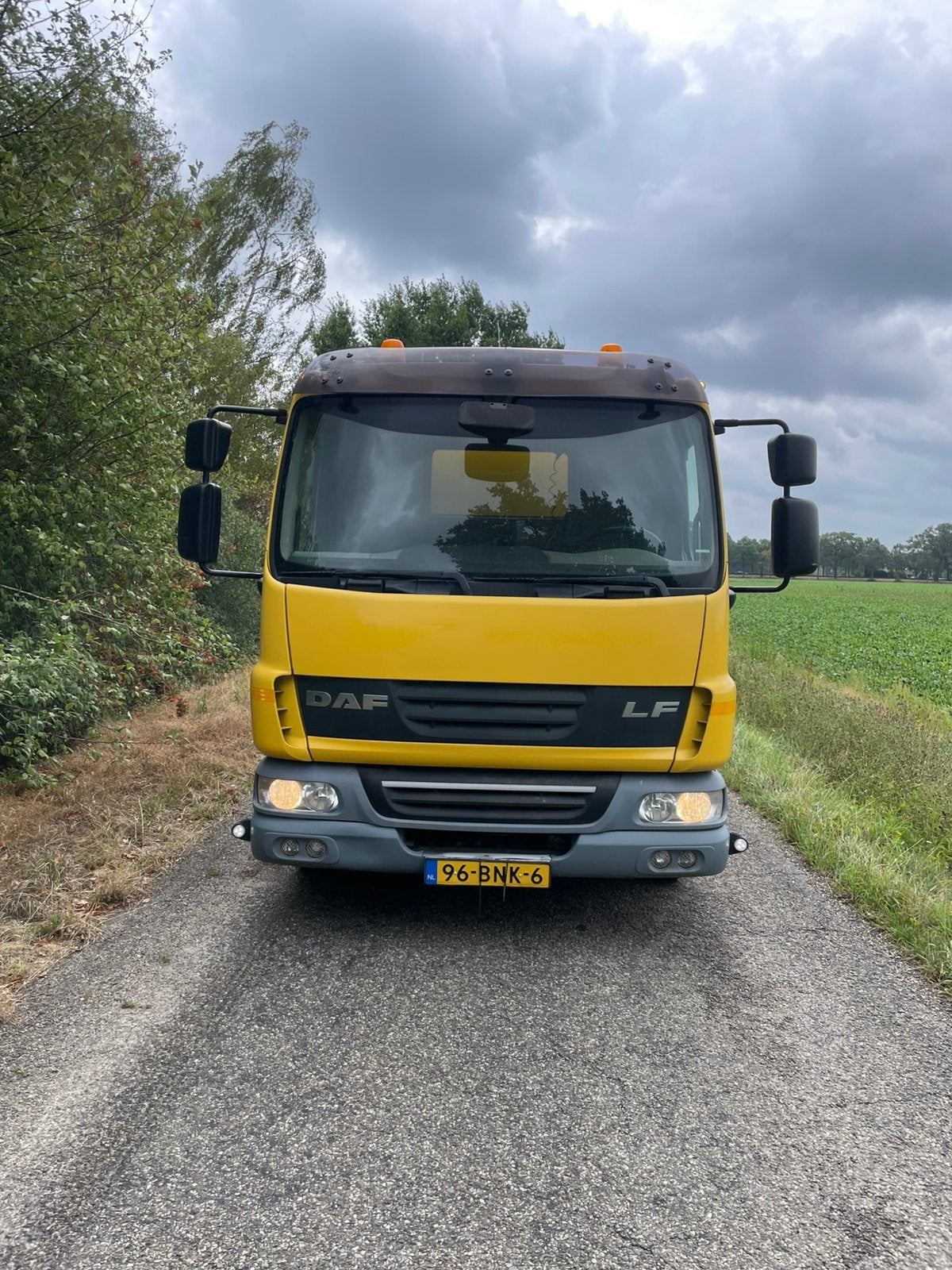 DAF LF, Auto's, Automaat, Diesel, Particulier, DAF