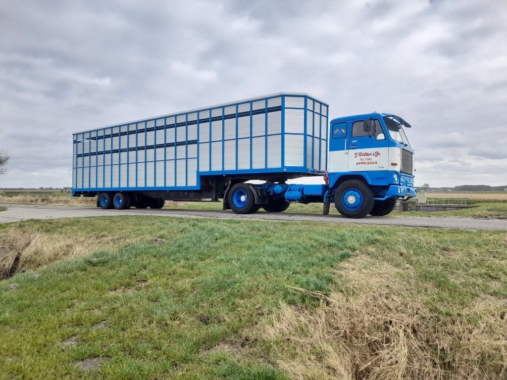 Klassieke veetrailer, Ophalen of Verzenden, Nieuw, Bus of Vrachtwagen