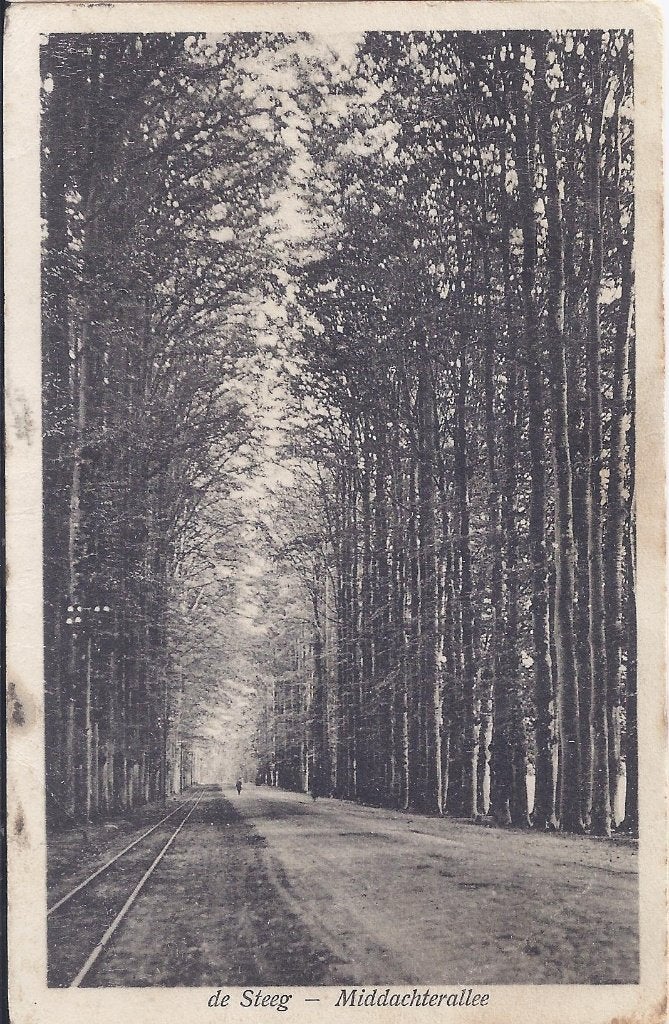 De Steeg Middachterallee Oude Gelopen Ansichtkaart ( B985 ), Ophalen of Verzenden, 1960 tot 1980, Gelopen, Gelderland