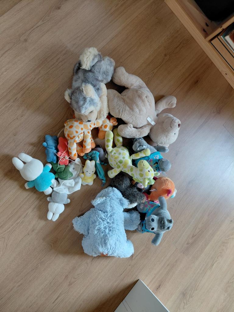 Grote verzameling knuffels, diverse dieren en maten, Ophalen, Gebruikt, Overige merken, Overige karakters