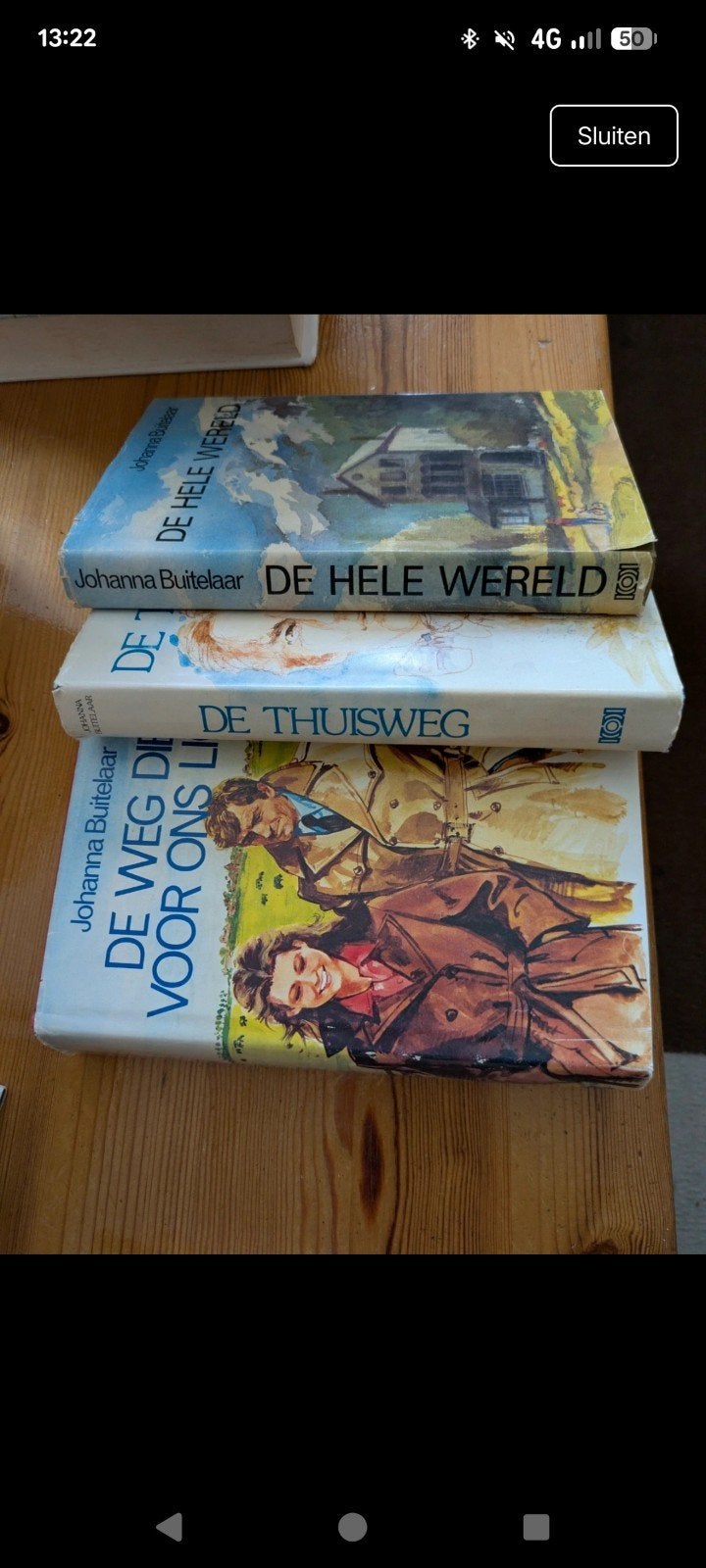 Johanna Buitelaar Boeken: De Hele Wereld, De Thuisweg, Ophalen of Verzenden, Gelezen, Johanna Buitelaar, Nederland