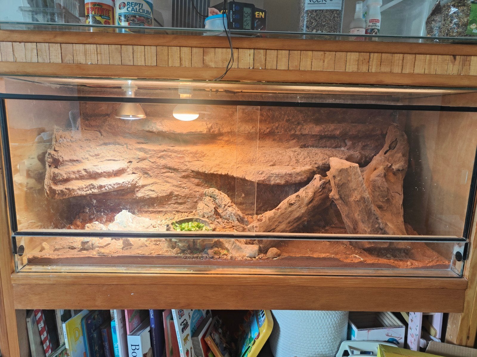 Terrarium 120X50X50, Ophalen, Gebruikt, Terrarium of Paludarium