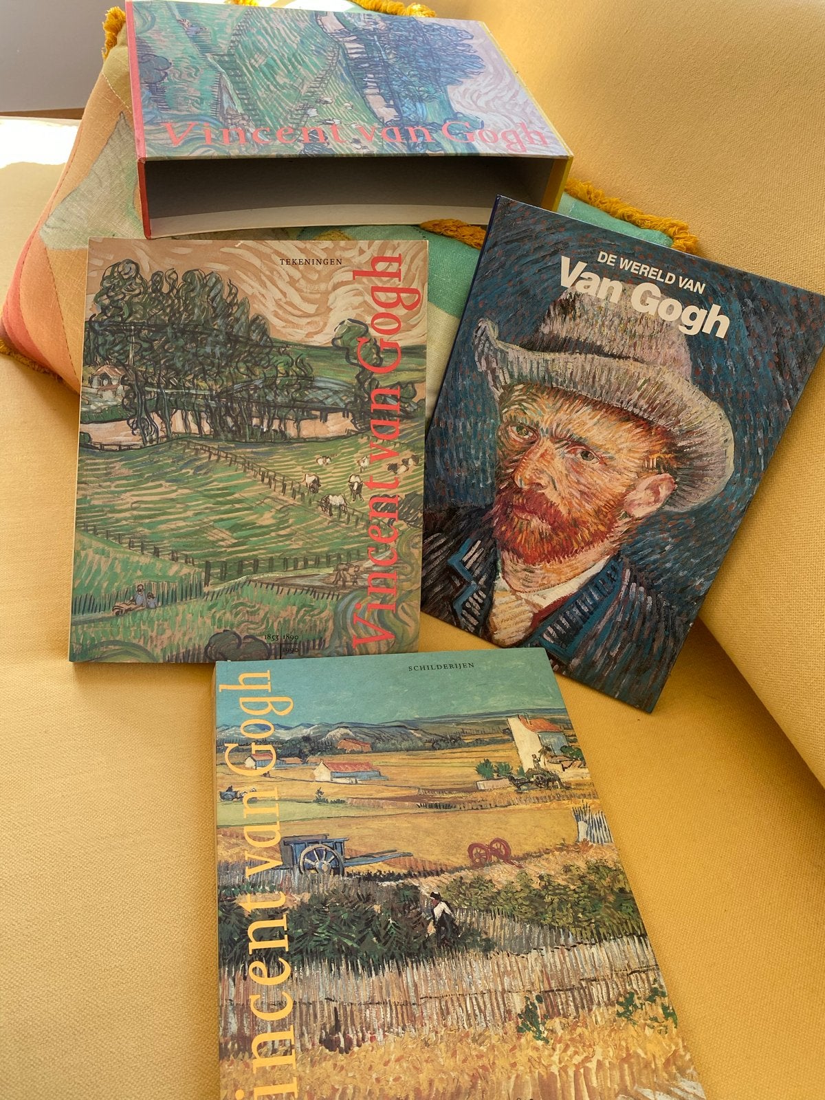 Vincent van Gogh Boekencollectie - Tekeningen, Schilderijen, Ophalen of Verzenden, Zo goed als nieuw, Schilder- en Tekenkunst