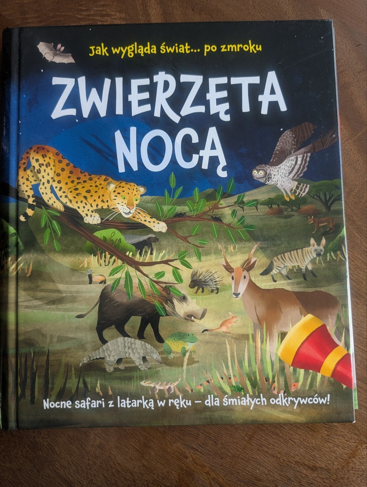 Poolse kinderboek met 'zaklamp', Boeken, Ophalen of Verzenden, Zo goed als nieuw