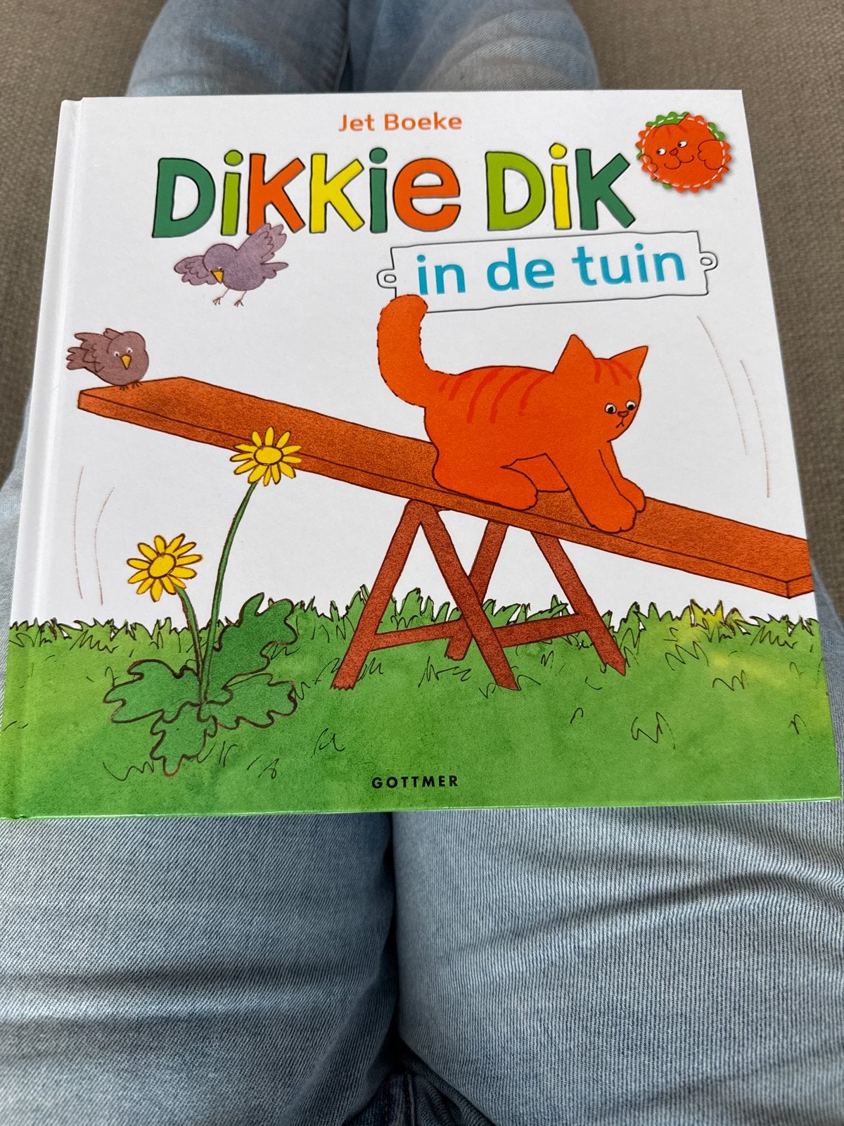 Dikkie Dik in de tuin - Jet Boeke (Gottmer), Ophalen of Verzenden, Zo goed als nieuw, Fictie algemeen