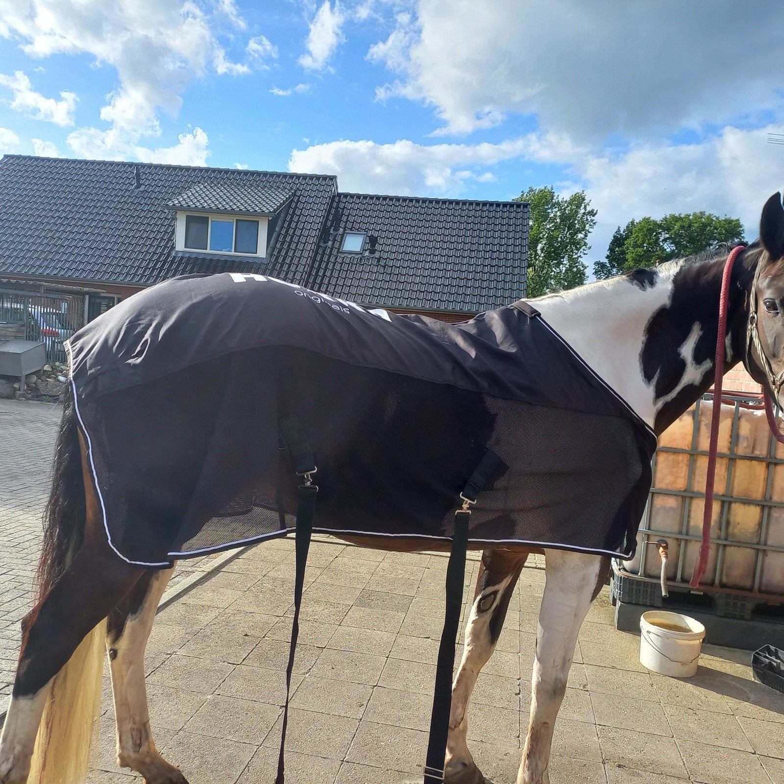 transportdeken/ showdeken, Dieren en Toebehoren, Ophalen of Verzenden