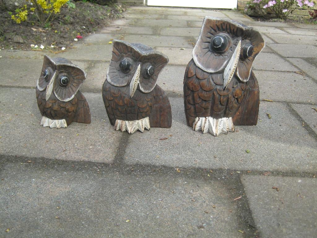 3 hele mooie houten uilen, Ophalen of Verzenden, Zo goed als nieuw, Dier