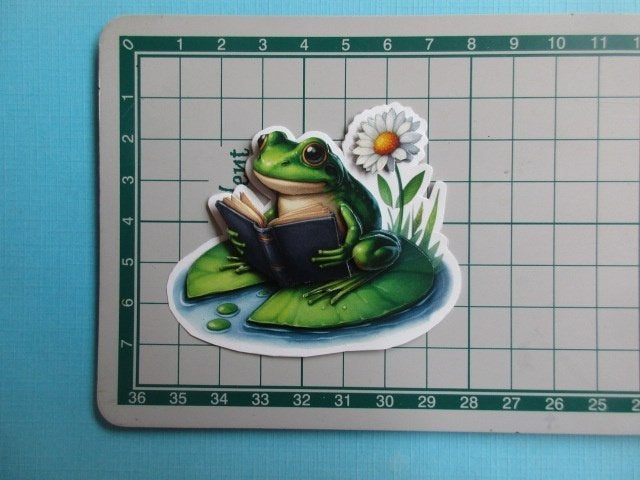 112 Kikker, Verzenden, Nieuw, Dieren, Overige typen