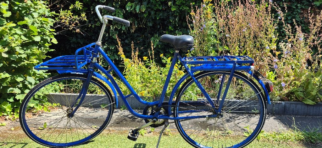 Retro fiets met drager dames paars, Terugtraprem, Minder dan 47 cm, Ophalen, Overige merken