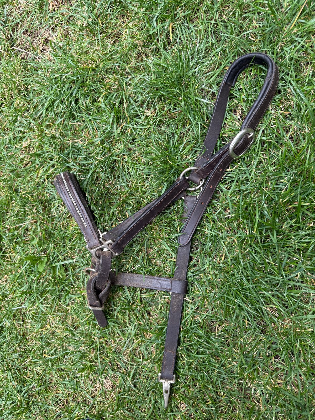 Halster leer pony, Dieren en Toebehoren, Bruin, Zacht onderlegd, Halster, Ophalen of Verzenden