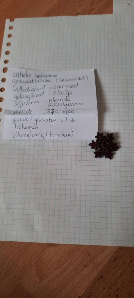 Antieke Boheemse Granaat Broche (Sneeuwvlok), Overige materialen, 4 tot 7 cm, Ophalen of Verzenden, Zo goed als nieuw