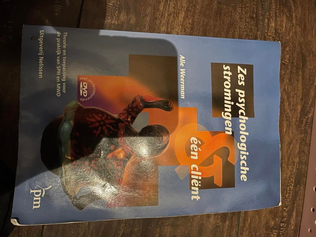 Zes psychologische stromingen & één cliënt – studieboek, Boeken, Ophalen of Verzenden, Zo goed als nieuw