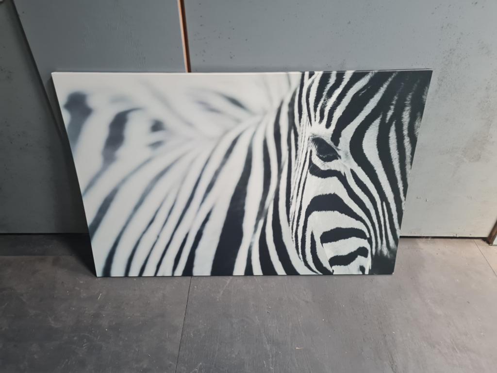 Schilderij zebra 117x80 cm, Ophalen