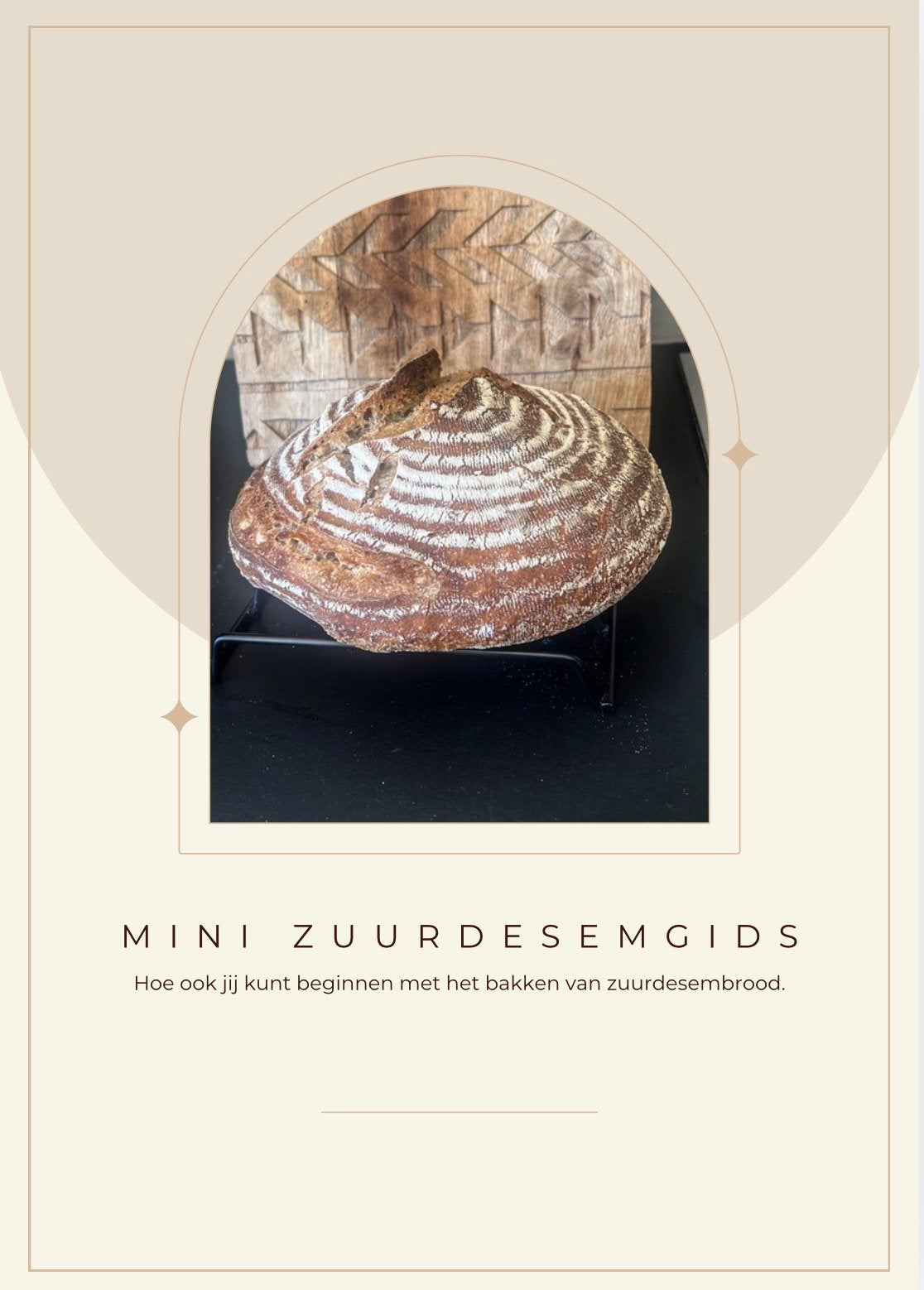Zuurdesem starter inclusief gids/beschrijving, Diversen, Ophalen of Verzenden