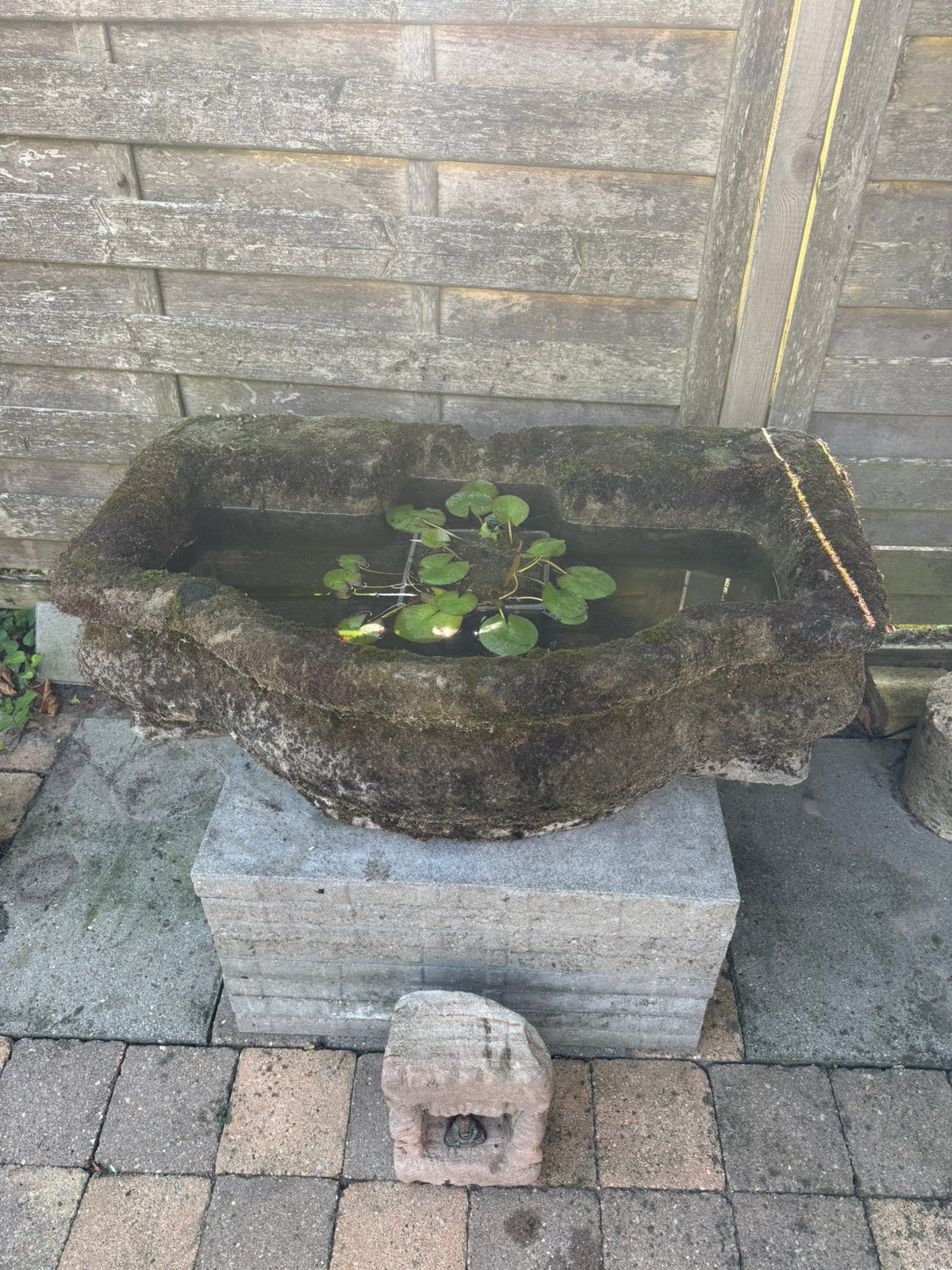 Trog-mini vijver, Ophalen, Gebruikt, Overige materialen, Overige typen