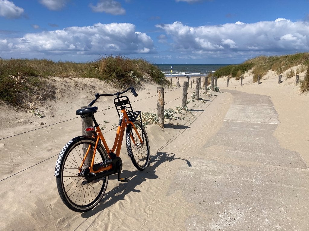 Gazelle Grand Prix Zandvoort fiets, Ophalen, Terugtraprem, 53 tot 56 cm, Versnellingen