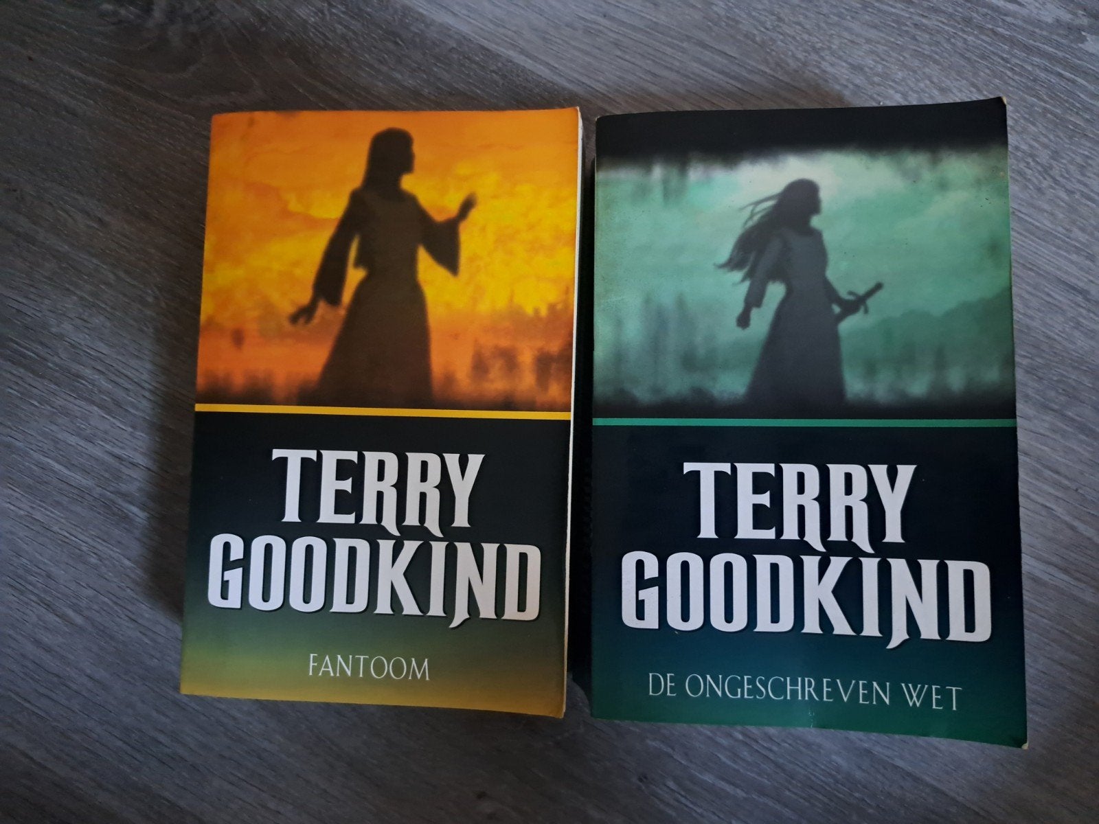 Terry Goodkind - Fantoom & De Ongeschreven Wet (2 boeken), Boeken, Fantasy, Verzenden, Gelezen, Terry Goodkind