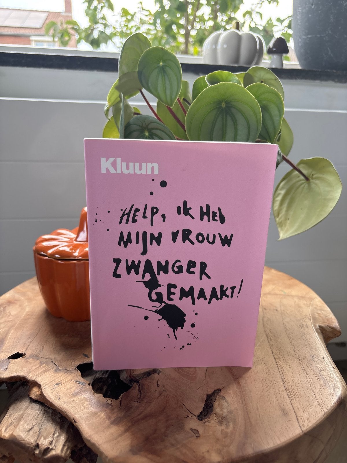 Kluun - Help, ik heb mijn vrouw zwanger gemaakt!, Ophalen of Verzenden, Gelezen, Nederland