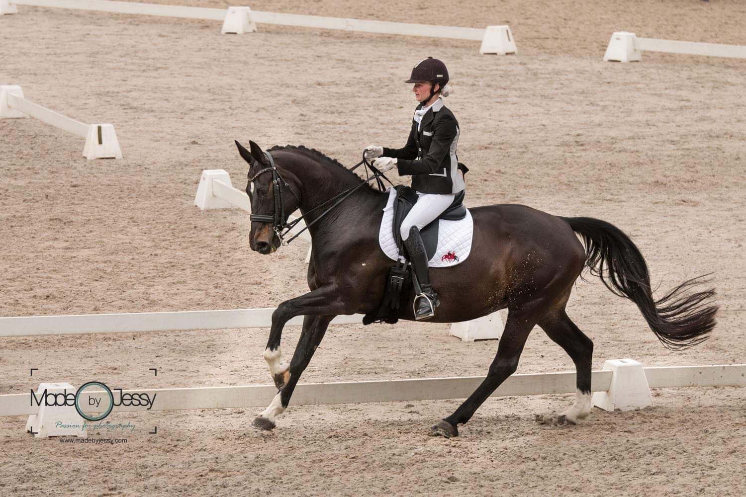 plek voor trainingspaarden en instructie, Diensten en Vakmensen, Dieren | Paarden | Verzorging, Oppas en Les, Stalling of Weidegang