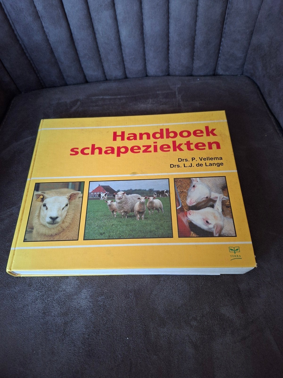 Handboek schapeziekten - Drs. P. Vellema & Drs. L.J., Gelezen, Ophalen of Verzenden, Drs. P. Vellema, Drs. L.J. de Lange, Beta
