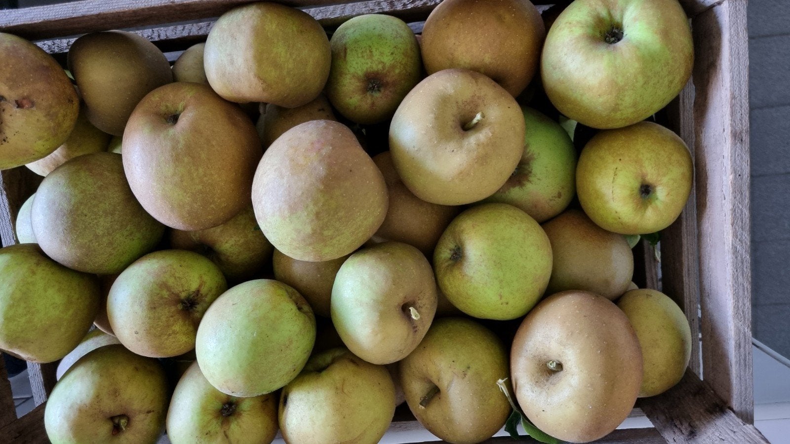 Mooie onbespoten Goudreinette appels, Diversen, Ophalen